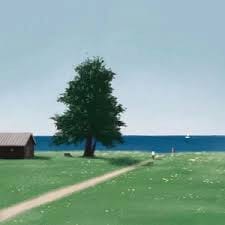 روحیل نذیر avatar