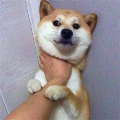 حمزہ شہباز avatar