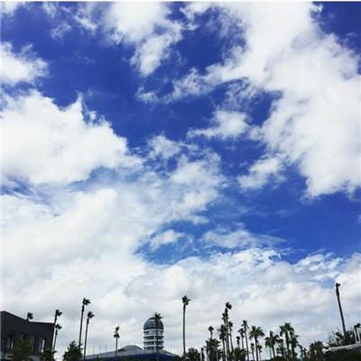 بہروز سبزواری avatar